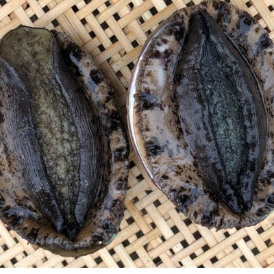 【先行予約】【金曜日発送】漁師直送!天然活黒アワビ約500～600g(1～2枚)