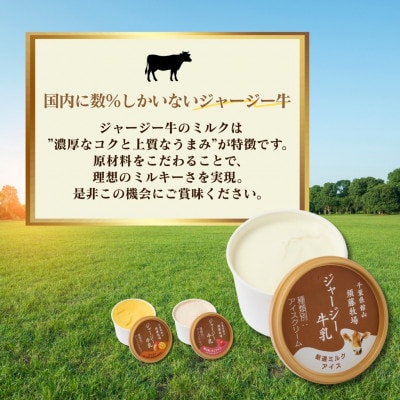 須藤牧場 館山市コラボカップアイス 6個セット(ミルク・いちご・マンゴー　各2個)