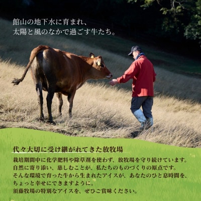 須藤牧場 館山市コラボカップアイス 6個セット(ミルク・いちご・マンゴー　各2個)