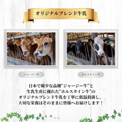 【新嘗祭奉納】須藤牧場の低温殺菌ノンホモ牛乳 900ml×2本