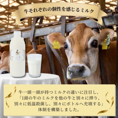 シングルミルク900ml 2本入