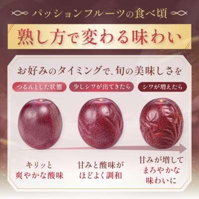 【先行予約/2027年7月～8月発送】秀品パッションフルーツ 「80g前後の大玉」