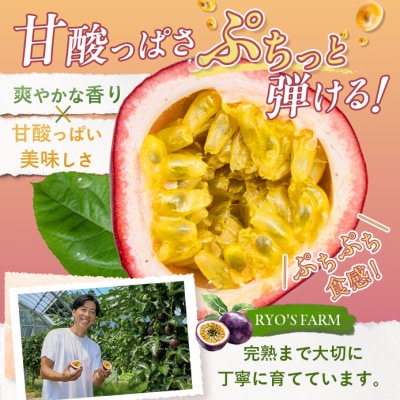 【先行予約/2027年7月～8月発送】秀品パッションフルーツ 中玉8個入