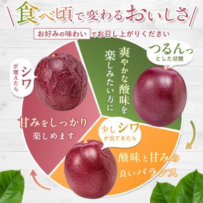 【先行予約/2027年7月～8月発送】秀品パッションフルーツ 中玉8個入