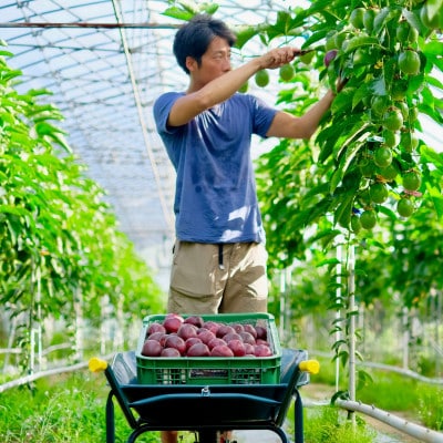 完熟パッションフルーツで作ったリリコイバター2個セット