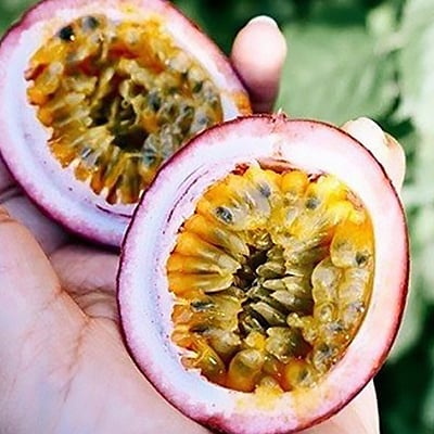 完熟パッションフルーツで作ったリリコイバター5個セット