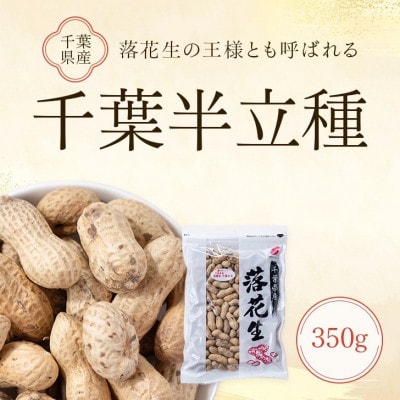 千葉半立種　落花生(350g×1袋)