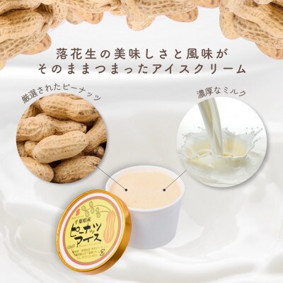 木村ピーナッツの濃厚ピーナッツアイス(6個)