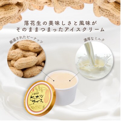 木村ピーナッツの濃厚ピーナッツアイス(12個)