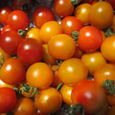 【3セット限定】おかもファームのほっこり野菜セット 2025年1月発送