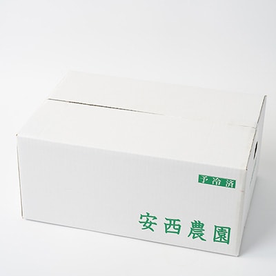安西農園の驚くほどに甘いトウモロコシ 20本