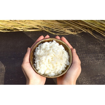 あわ焼 ごはん茶碗 1客