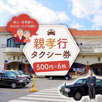 館山・南房総親孝行タクシー券　500円×6枚