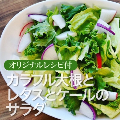野菜ソムリエプロ厳選!こだわりの旬野菜BOX「リエビン」季節の野菜セット