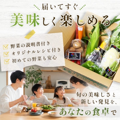 野菜ソムリエプロ厳選!こだわりの旬野菜BOX「リエビン」季節の野菜セット