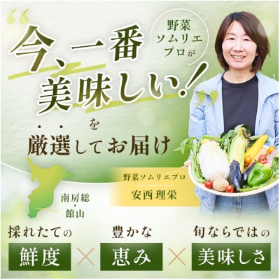 【毎月定期便】【上旬発送】こだわりの旬野菜BOX「リエビン」季節の野菜セット全6回