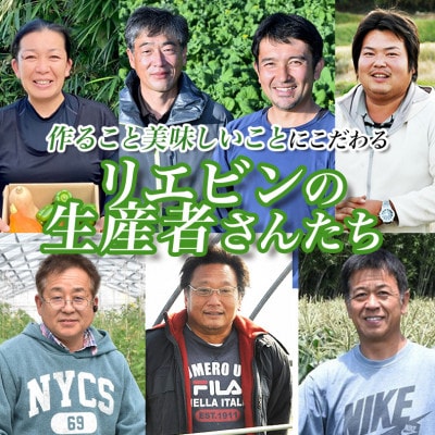 【毎月定期便】【上旬発送】こだわりの旬野菜BOX「リエビン」季節の野菜セット全6回