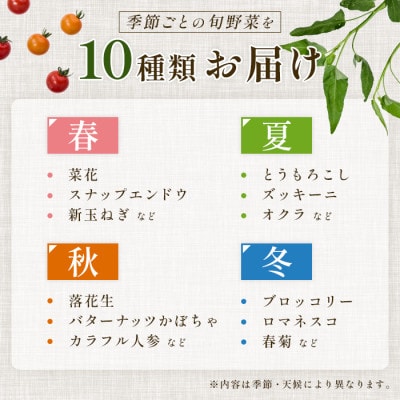 【毎月定期便】【上旬発送】こだわりの旬野菜BOX「リエビン」季節の野菜セット全6回
