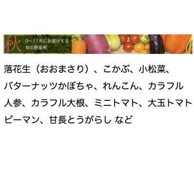 【毎月定期便】【上旬発送】こだわりの旬野菜BOX「リエビン」季節の野菜セット全6回