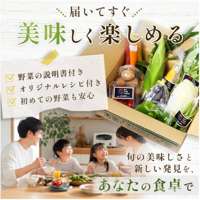 【毎月定期便】【上旬発送】こだわりの旬野菜BOX「リエビン」季節の野菜セット全6回