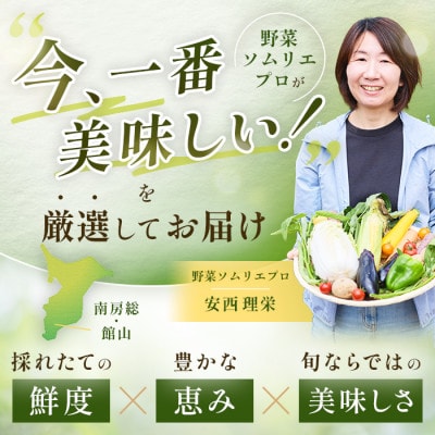 【毎月定期便】【下旬発送】こだわりの旬野菜BOX「リエビン」季節の野菜セット全6回