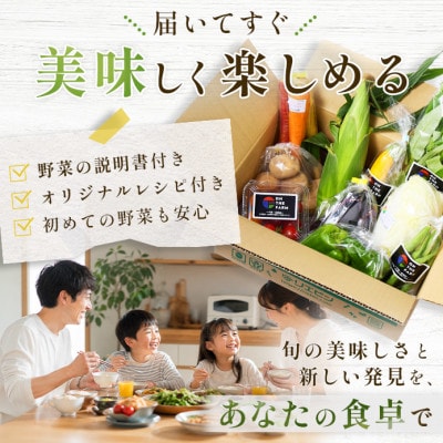 【毎月定期便】【下旬発送】こだわりの旬野菜BOX「リエビン」季節の野菜セット全6回