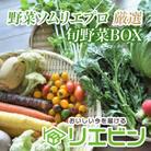 【毎月定期便】【上旬発送】こだわりの旬野菜BOX「リエビン」季節の野菜セット全12回