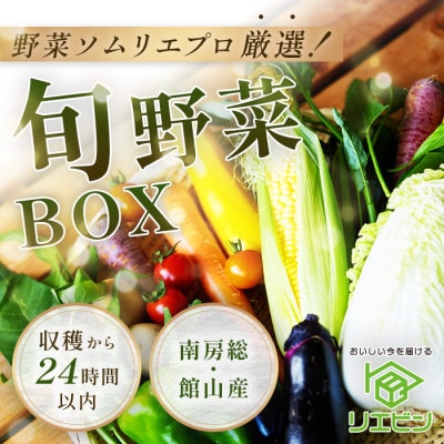 【毎月定期便】【上旬発送】こだわりの旬野菜BOX「リエビン」季節の野菜セット全12回