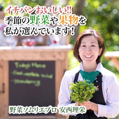 【毎月定期便】【上旬発送】こだわりの旬野菜BOX「リエビン」季節の野菜セット全12回