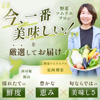 【毎月定期便】【上旬発送】こだわりの旬野菜BOX「リエビン」季節の野菜セット全12回