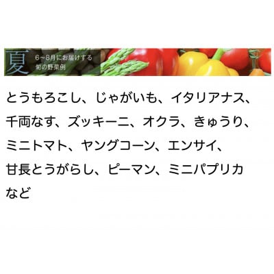 【毎月定期便】【中旬発送】こだわりの旬野菜BOX「リエビン」季節の野菜セット全12回