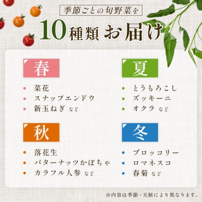 【毎月定期便】【下旬発送】こだわりの旬野菜BOX「リエビン」季節の野菜セット全12回