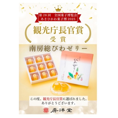 【祝・全国菓子大博覧会2025/観光庁長官賞受賞】南房総びわゼリー15個入