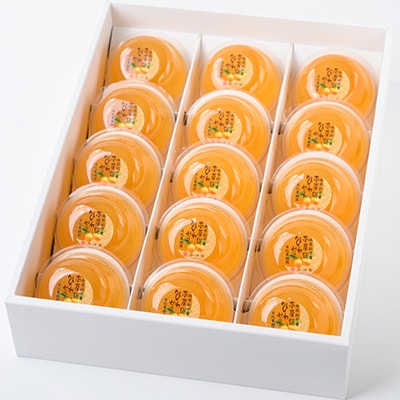 【祝・全国菓子大博覧会2025/観光庁長官賞受賞】南房総びわゼリー15個入