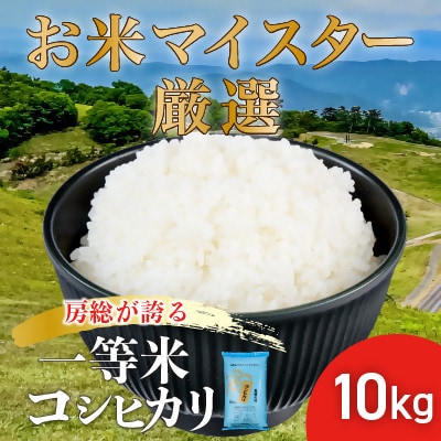 【令和7年産】お米マイスター厳選 一等米コシヒカリ 精米 10kg
