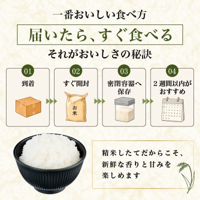 【令和7年産】お米マイスター厳選 一等米コシヒカリ 精米 10kg