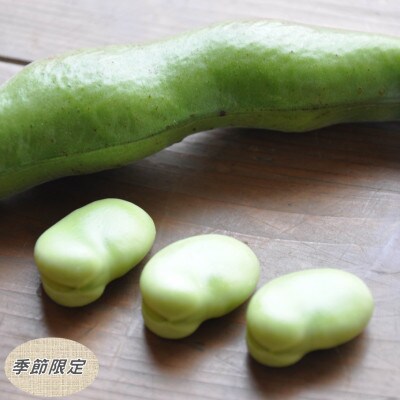 【数量限定】安心安全なサヤ付き房州そらまめ 約3.5kg (4月下旬頃～5月下旬頃発送予定)