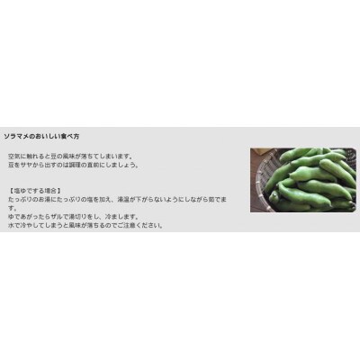 【数量限定】安心安全なサヤ付き房州そらまめ 約3.5kg (4月下旬頃～5月下旬頃発送予定)
