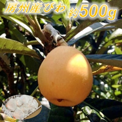 安全安心な「房州産びわ」 約500g