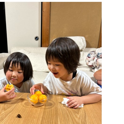 館山市産 栽培期間中農薬化学肥料不使用 房州びわ 500g以上1箱