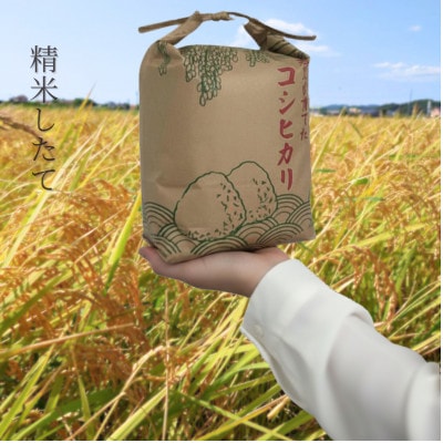 館山市九重産コシヒカリ　5kg 精米