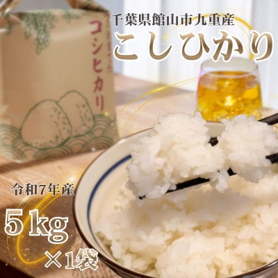 【令和7年産】館山市九重産コシヒカリ　5kg 精米