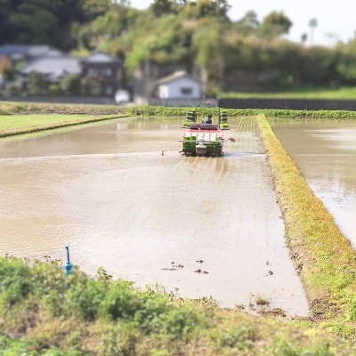 【令和7年産】館山市九重産コシヒカリ　5kg 精米