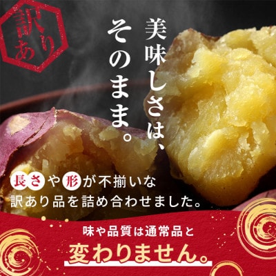 【訳あり】さつまいも芋けんぴ(プレーン味)規格外品140g×5袋