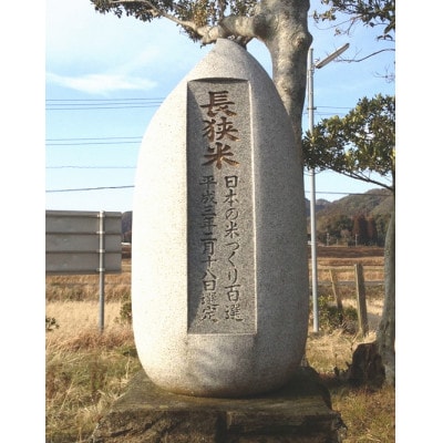 令和7年産千葉県産長狭米コシヒカリ精米10kg