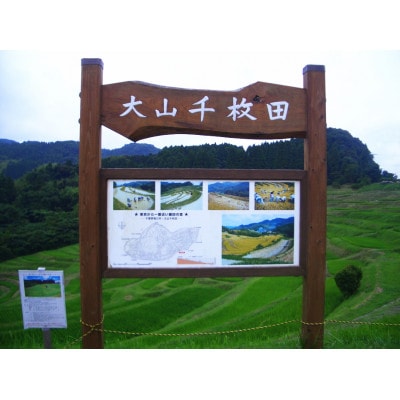 令和7年産千葉県産長狭米コシヒカリ精米10kg