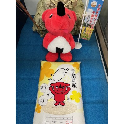 令和6年産 精米 長狭米コシヒカリ&粒すけ各5kgセット
