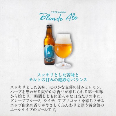 館山ブロンドエール 6本セット