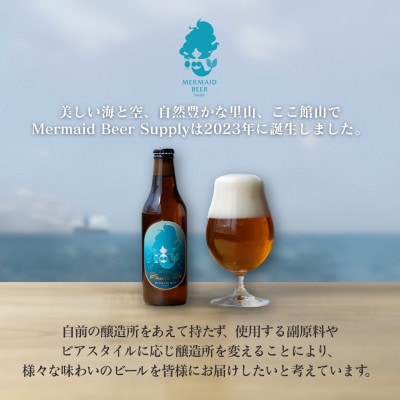 館山ブロンドエール 6本セット