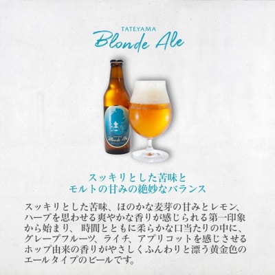 館山ブロンドエール 12本セット